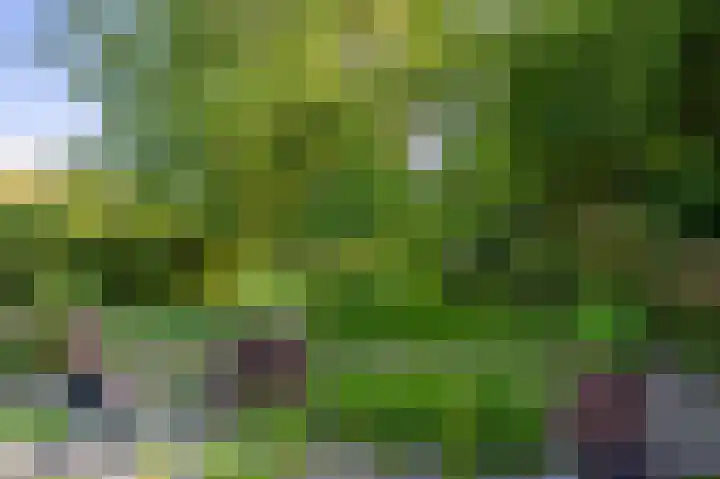 Veenweg 50 Beerta thumbnail 19