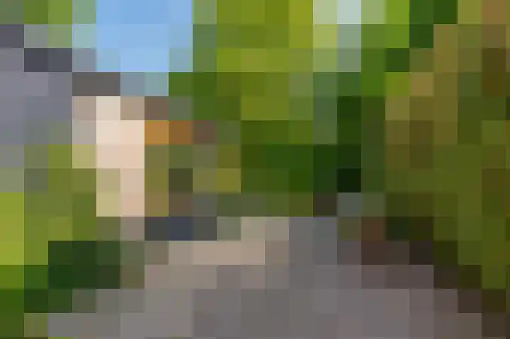 Veenweg 50 Beerta thumbnail 21