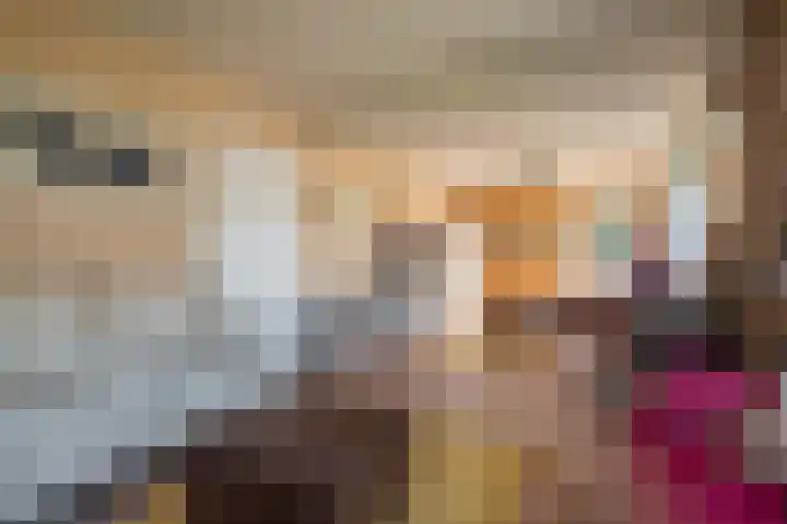 Veenweg 50 Beerta thumbnail 29