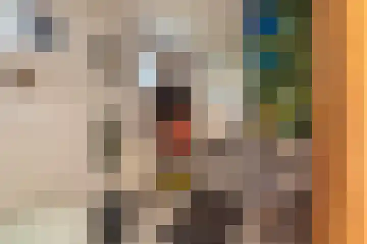 Veenweg 50 Beerta thumbnail 39