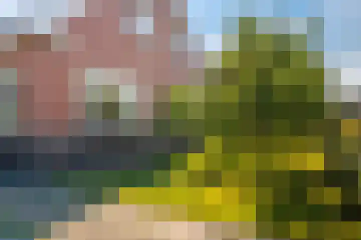 Veenweg 50 Beerta thumbnail 7