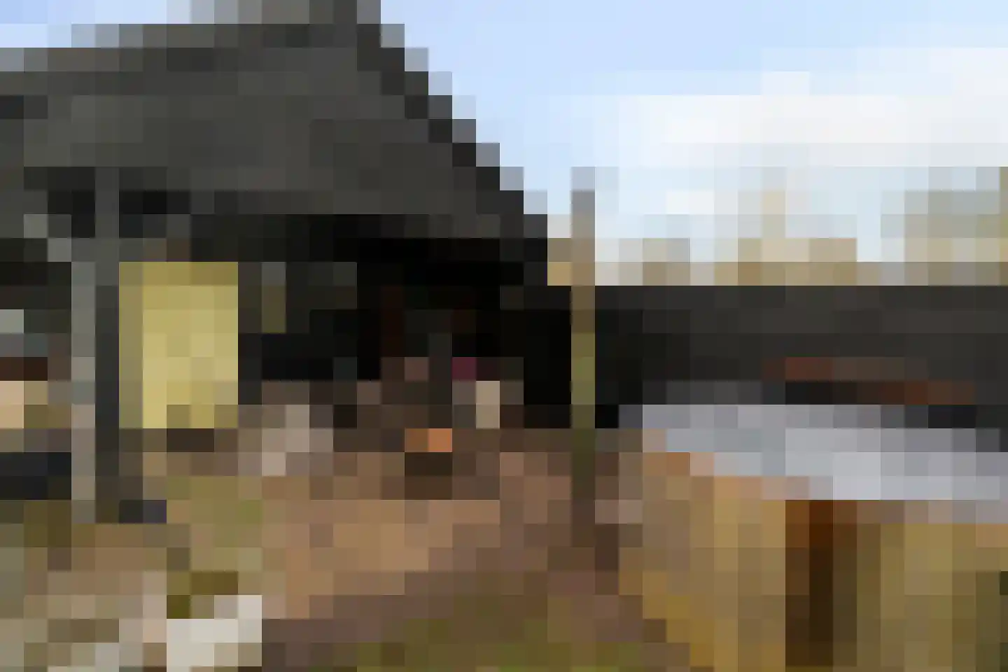 Veenweg 51 Oldebroek thumbnail 44