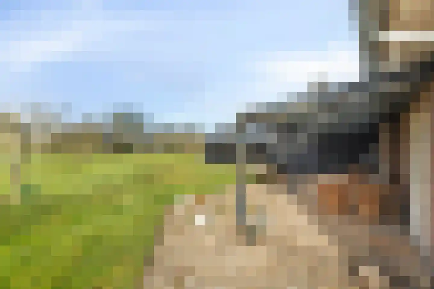Veenweg 51 Oldebroek thumbnail 6