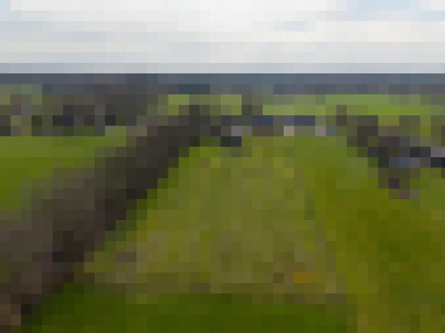 Veenweg 51 Oldebroek thumbnail 65