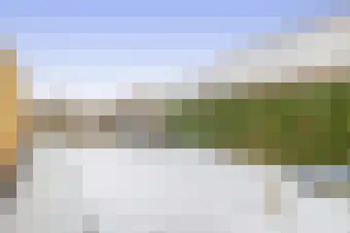 Veenweg 53 Beerta thumbnail 34