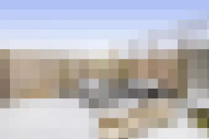 Veenweg 53 Beerta thumbnail 40