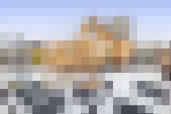 Veenweg 53 Beerta thumbnail 42
