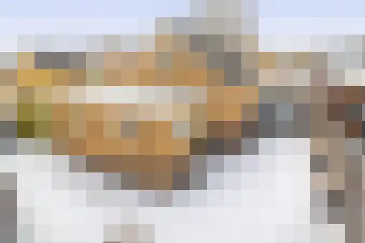 Veenweg 53 Beerta thumbnail 43