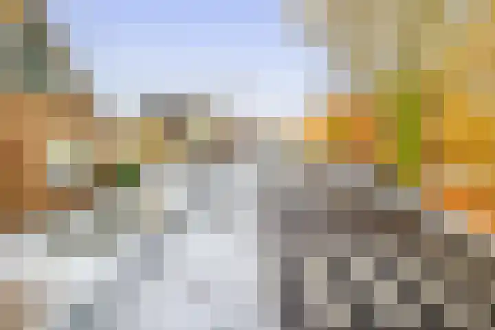 Veenweg 53 Beerta thumbnail 45