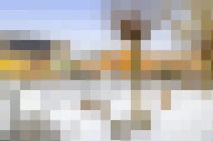 Veenweg 53 Beerta thumbnail 47