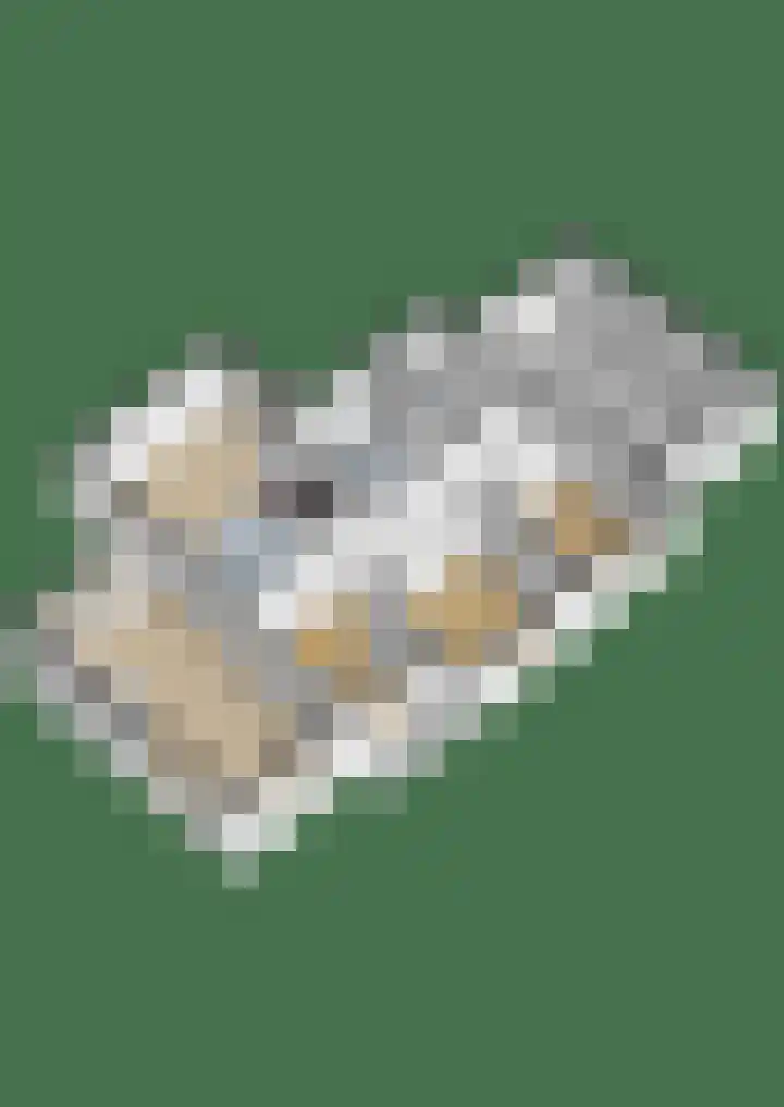 Veenweg 53 Beerta thumbnail 53