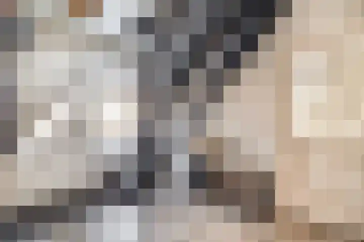 Veenweg 53 Beerta thumbnail 6
