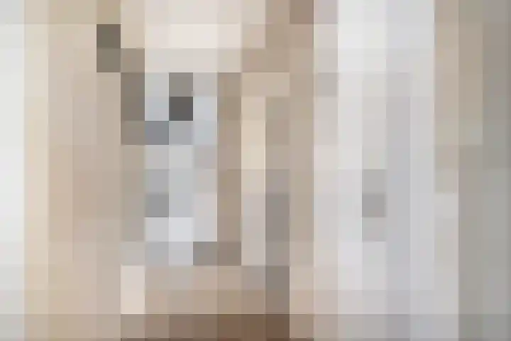 Veenweg 53 Beerta thumbnail 7