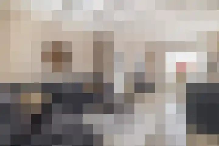 Veenweg 53 Beerta thumbnail 9