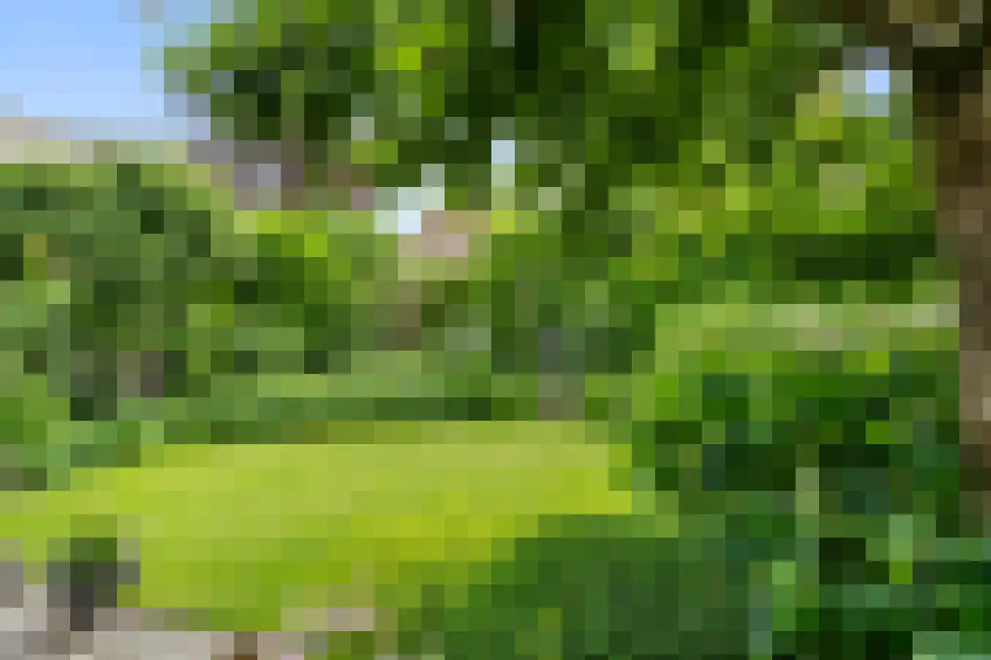 Veenweg 54 Lunteren thumbnail 41