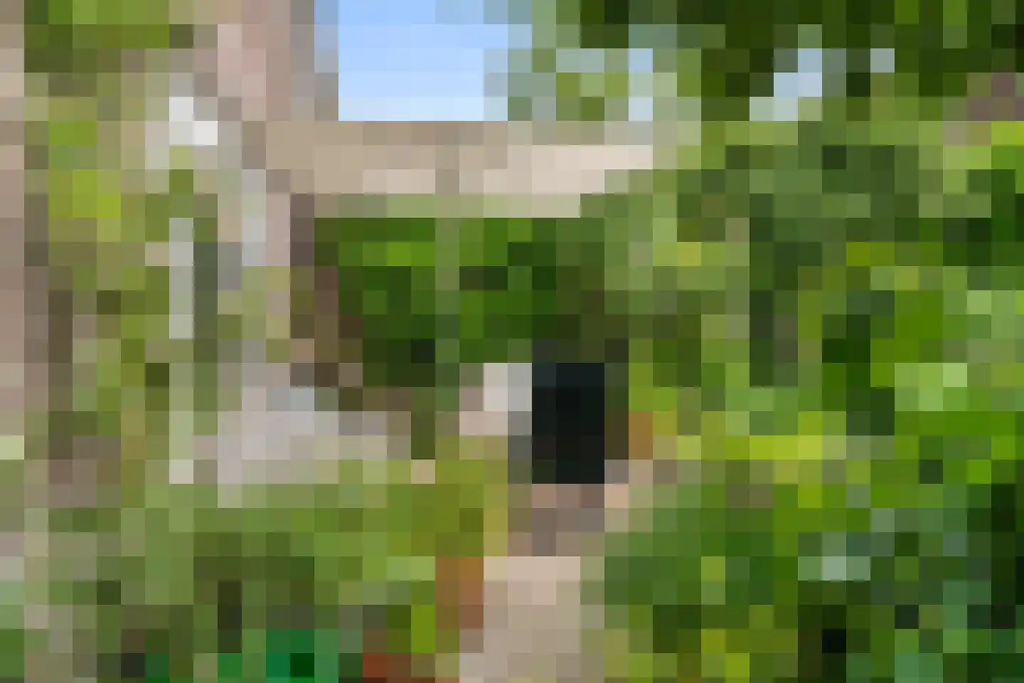 Veenweg 54 Lunteren thumbnail 42