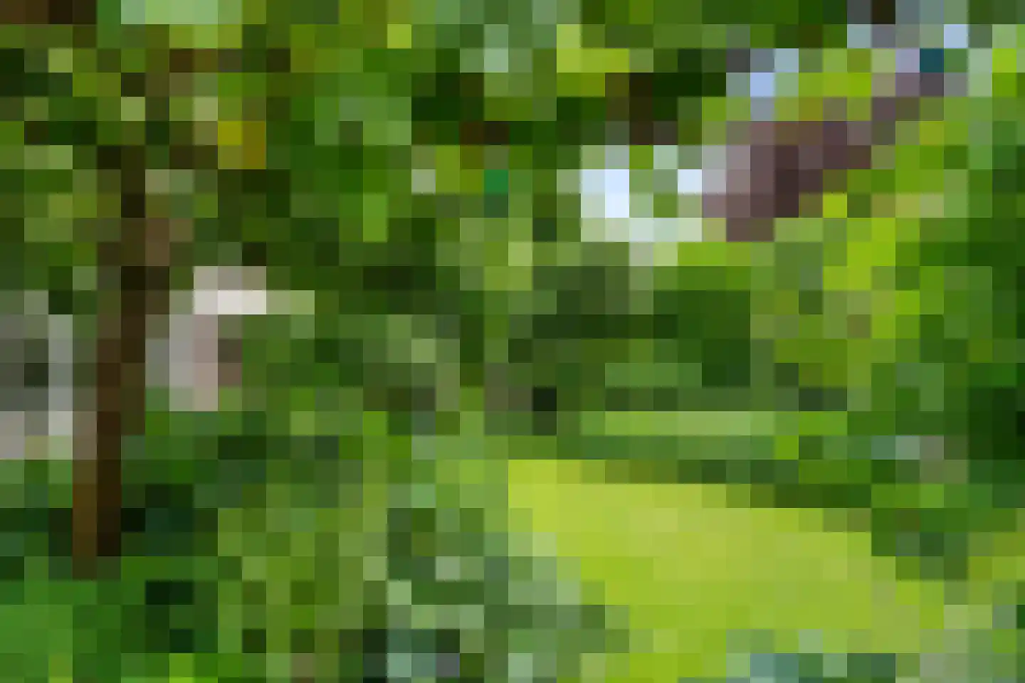 Veenweg 54 Lunteren thumbnail 44