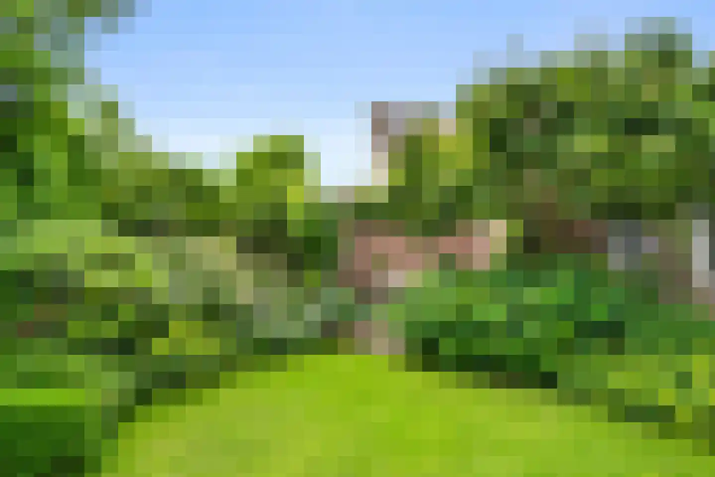 Veenweg 54 Lunteren thumbnail 45