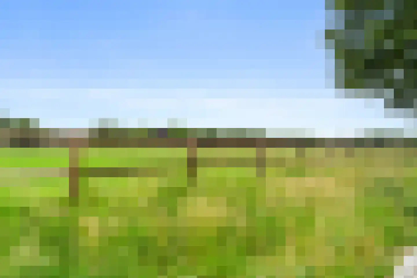 Veenweg 54 Lunteren thumbnail 48