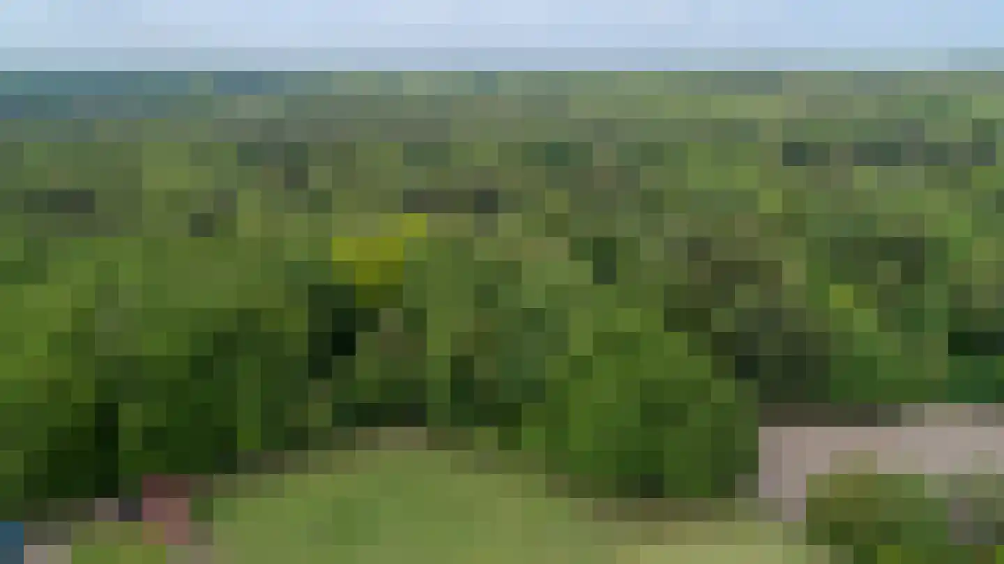 Veenweg 54 Lunteren thumbnail 52