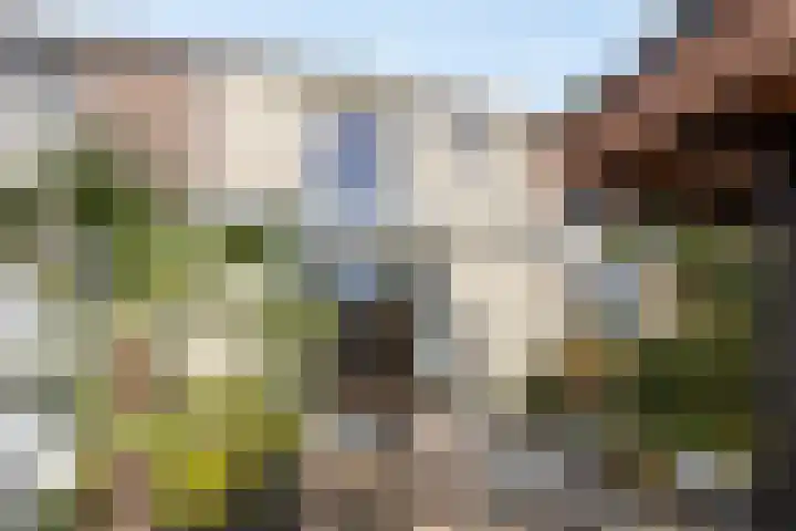 Veenweg 64 Deventer thumbnail 37
