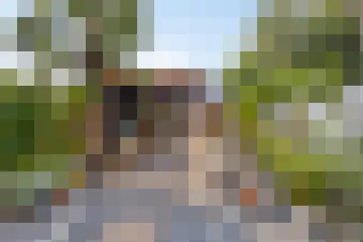 Veenweg 64 Deventer thumbnail 39