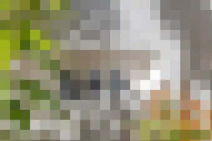 Veenweg 64 Deventer thumbnail 42