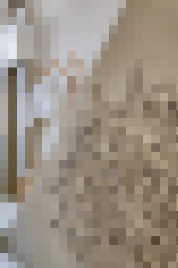 Veenweg 64 Deventer thumbnail 6