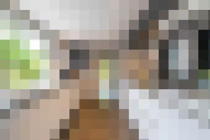 Veenweg 67 Groningen thumbnail 17