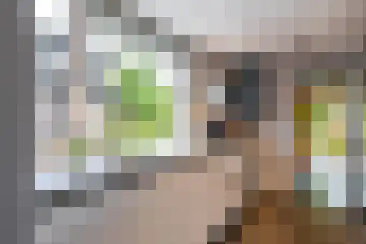 Veenweg 67 Groningen thumbnail 18