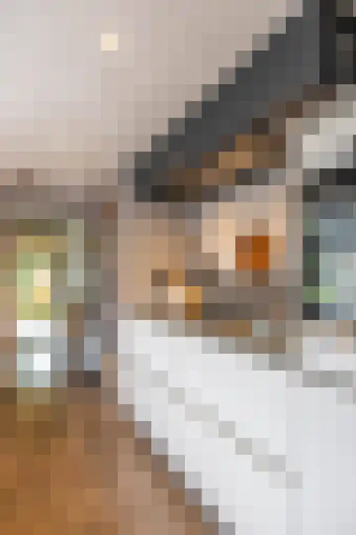 Veenweg 67 Groningen thumbnail 19