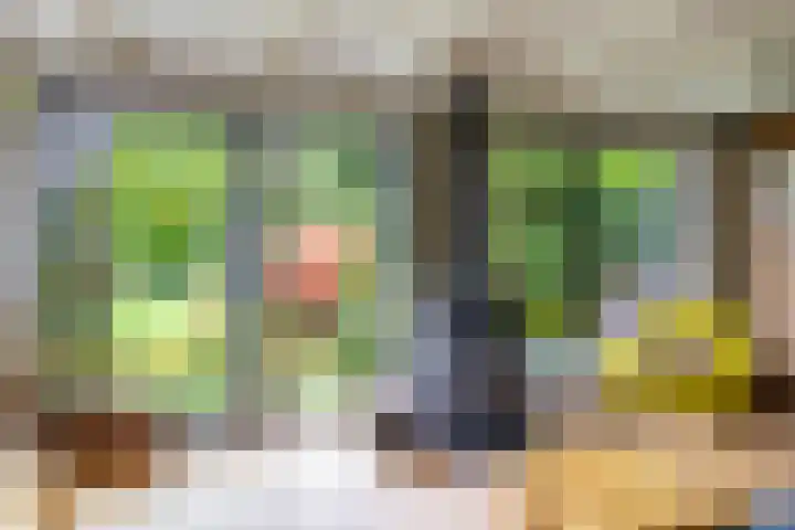 Veenweg 67 Groningen thumbnail 29