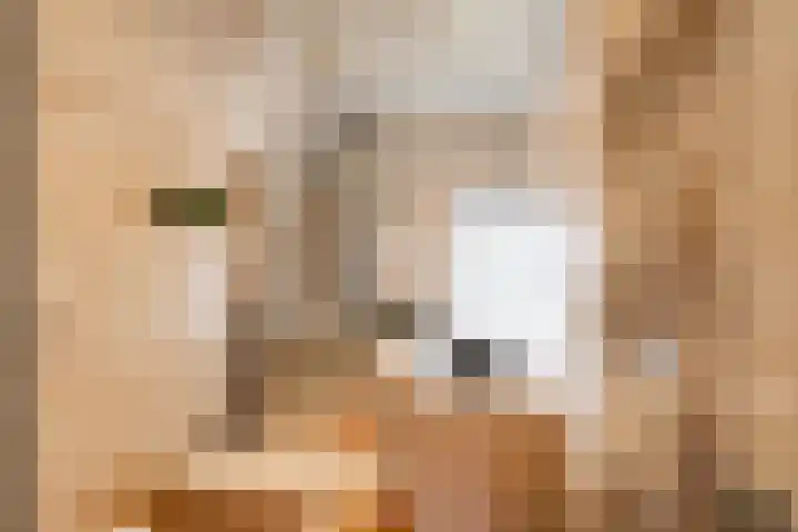Veenweg 67 Groningen thumbnail 42