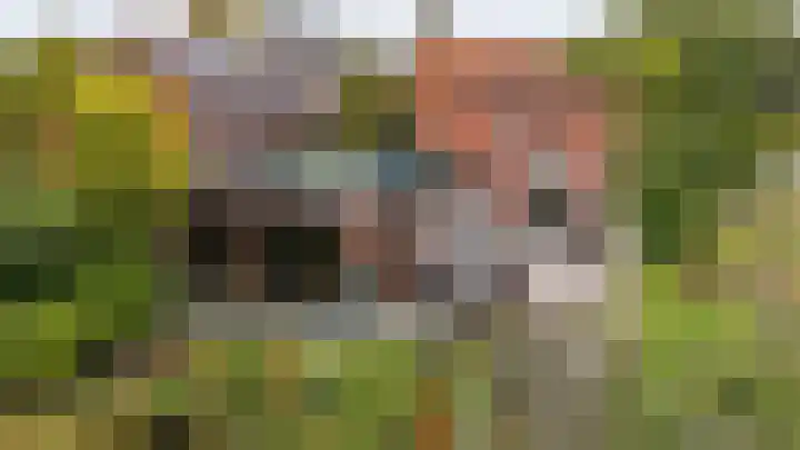 Veenweg 67 Groningen thumbnail 48