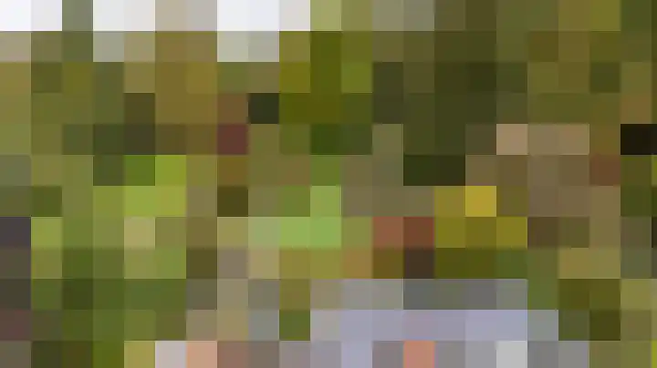 Veenweg 67 Groningen thumbnail 49
