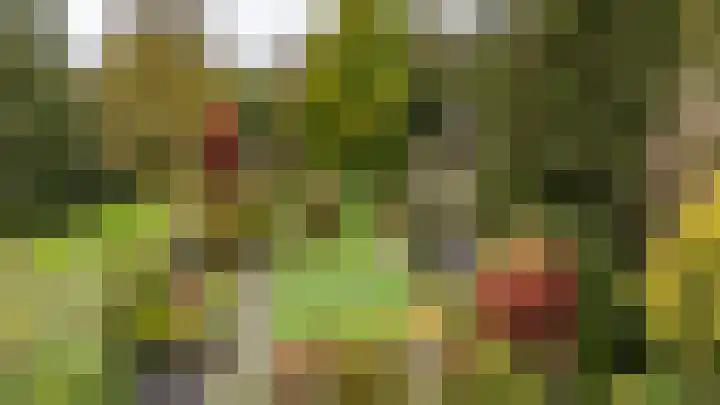 Veenweg 67 Groningen thumbnail 50