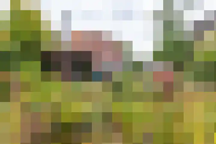 Veenweg 67 Groningen thumbnail 51