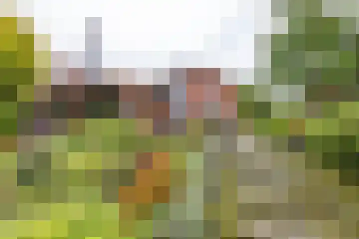 Veenweg 67 Groningen thumbnail 52