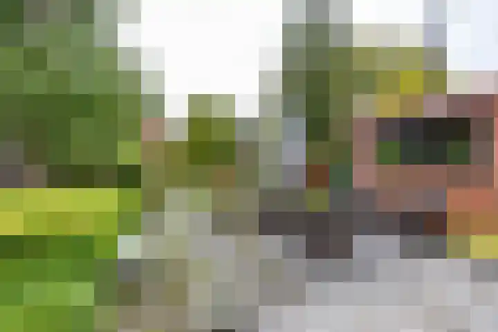 Veenweg 67 Groningen thumbnail 53