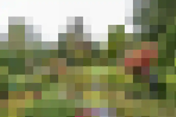 Veenweg 67 Groningen thumbnail 55