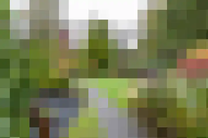 Veenweg 67 Groningen thumbnail 56