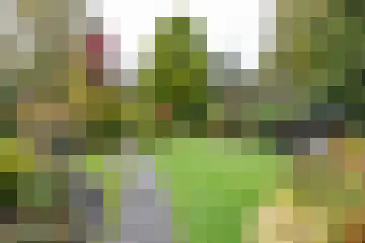 Veenweg 67 Groningen thumbnail 57