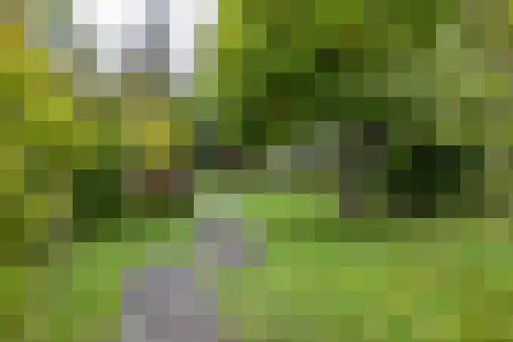 Veenweg 67 Groningen thumbnail 58