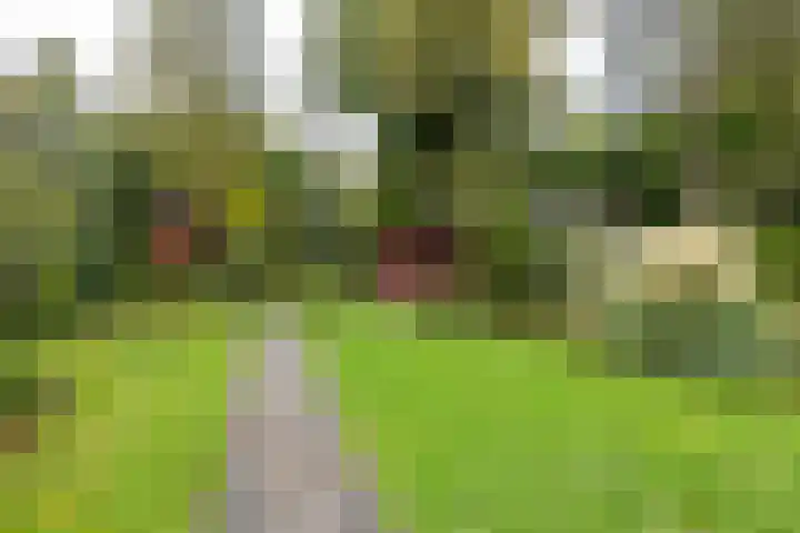 Veenweg 67 Groningen thumbnail 59