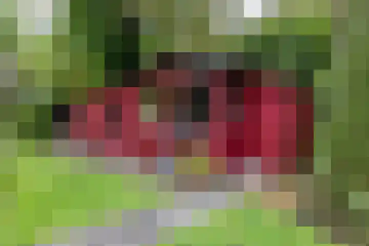 Veenweg 67 Groningen thumbnail 60