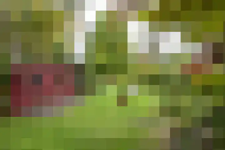 Veenweg 67 Groningen thumbnail 61