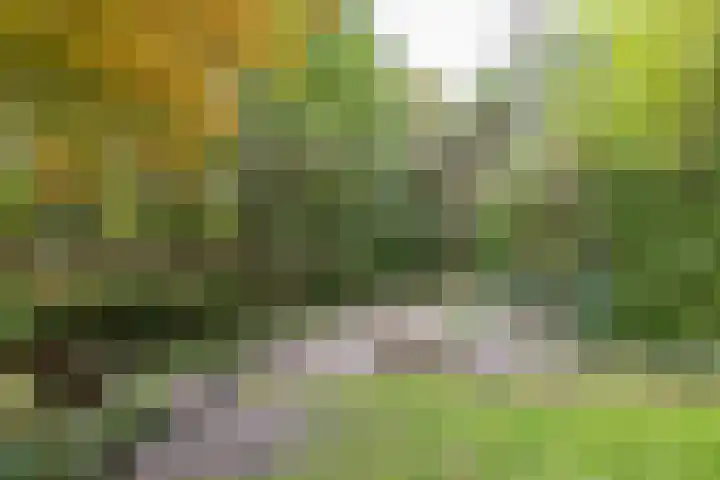 Veenweg 67 Groningen thumbnail 62