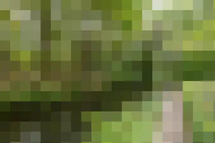 Veenweg 67 Groningen thumbnail 63