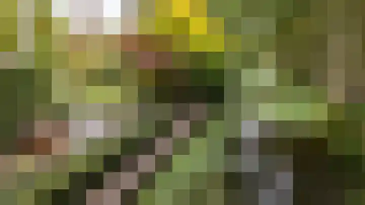 Veenweg 67 Groningen thumbnail 64