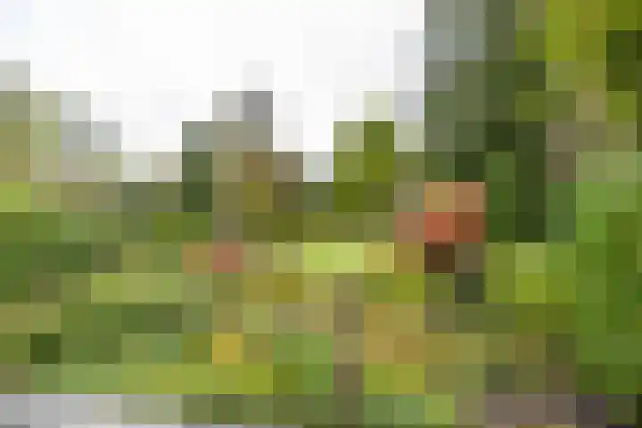 Veenweg 67 Groningen thumbnail 65